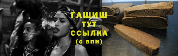 apvp Алзамай
