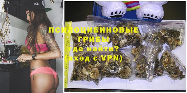 кокс Алексин