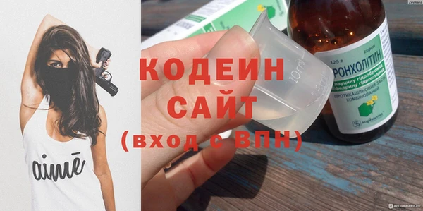 кокс Алексин