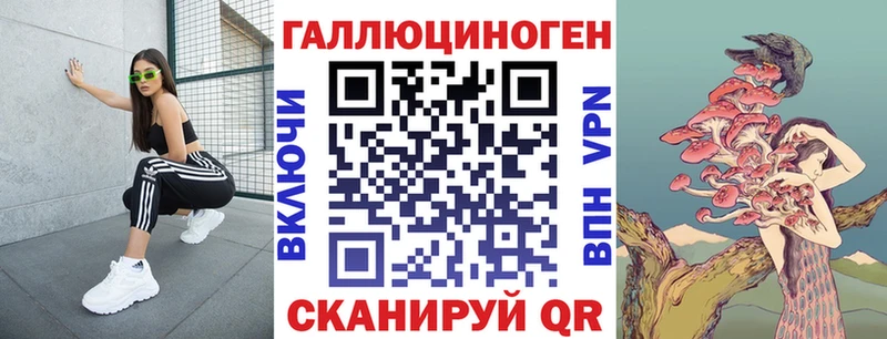 Галлюциногенные грибы Psilocybine cubensis цены kraken зеркало Приозерск